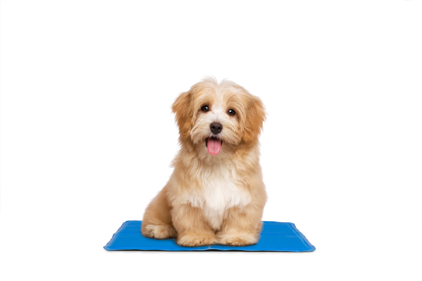 Pet Cooling Mat - 40 x 50 cm