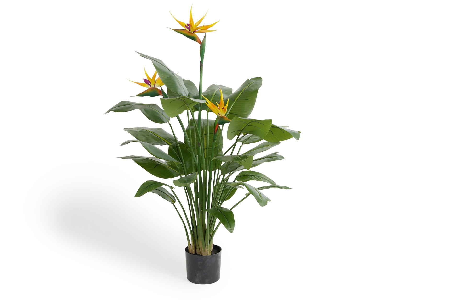 Kunstplant Strelitzia met oranje  bloemen