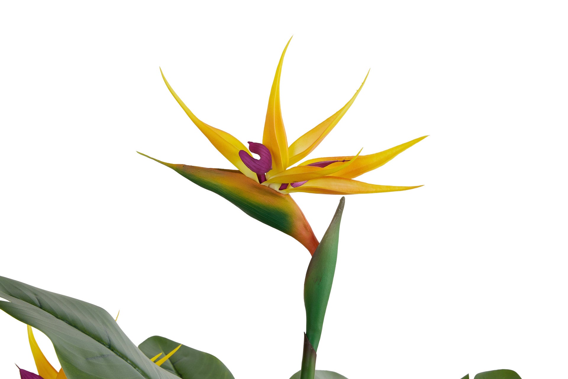 Kunstplant Strelitzia met oranje  bloemen